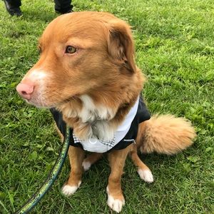 Meet your Posher, Danika